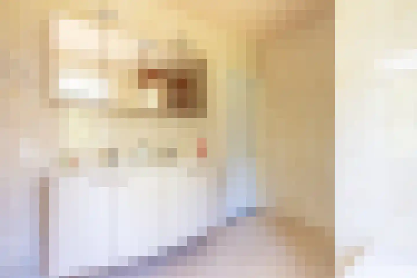 Curaçaolaan 20 Hilversum thumbnail 22
