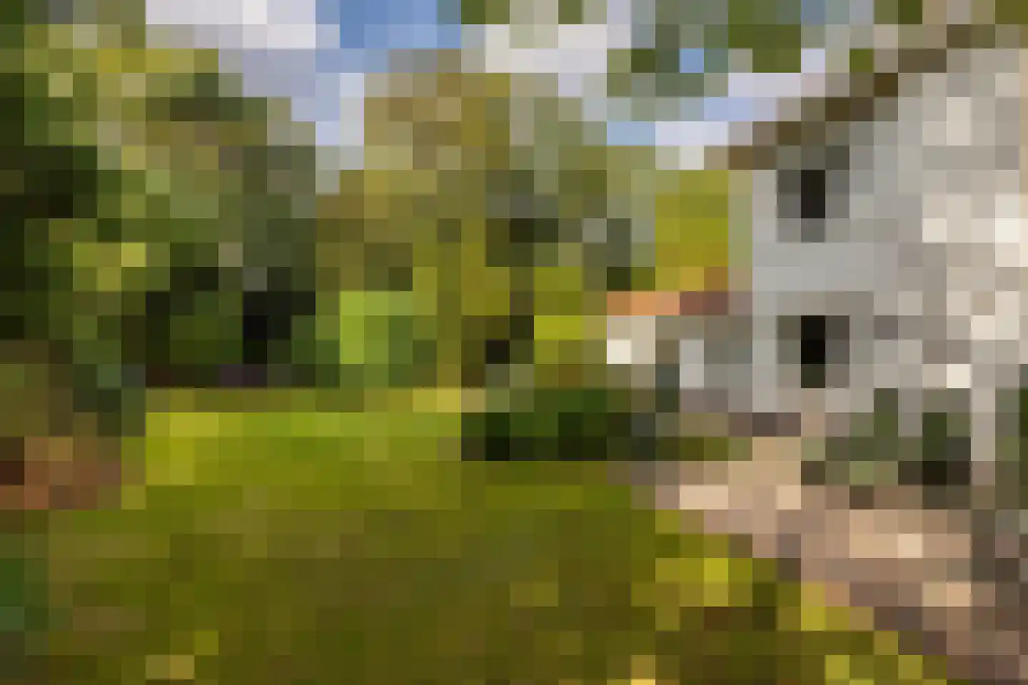 Curaçaolaan 20 Hilversum thumbnail 26