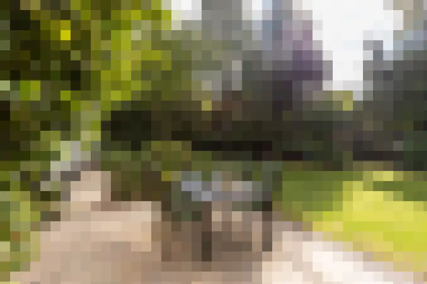 Curaçaolaan 20 Hilversum thumbnail 30