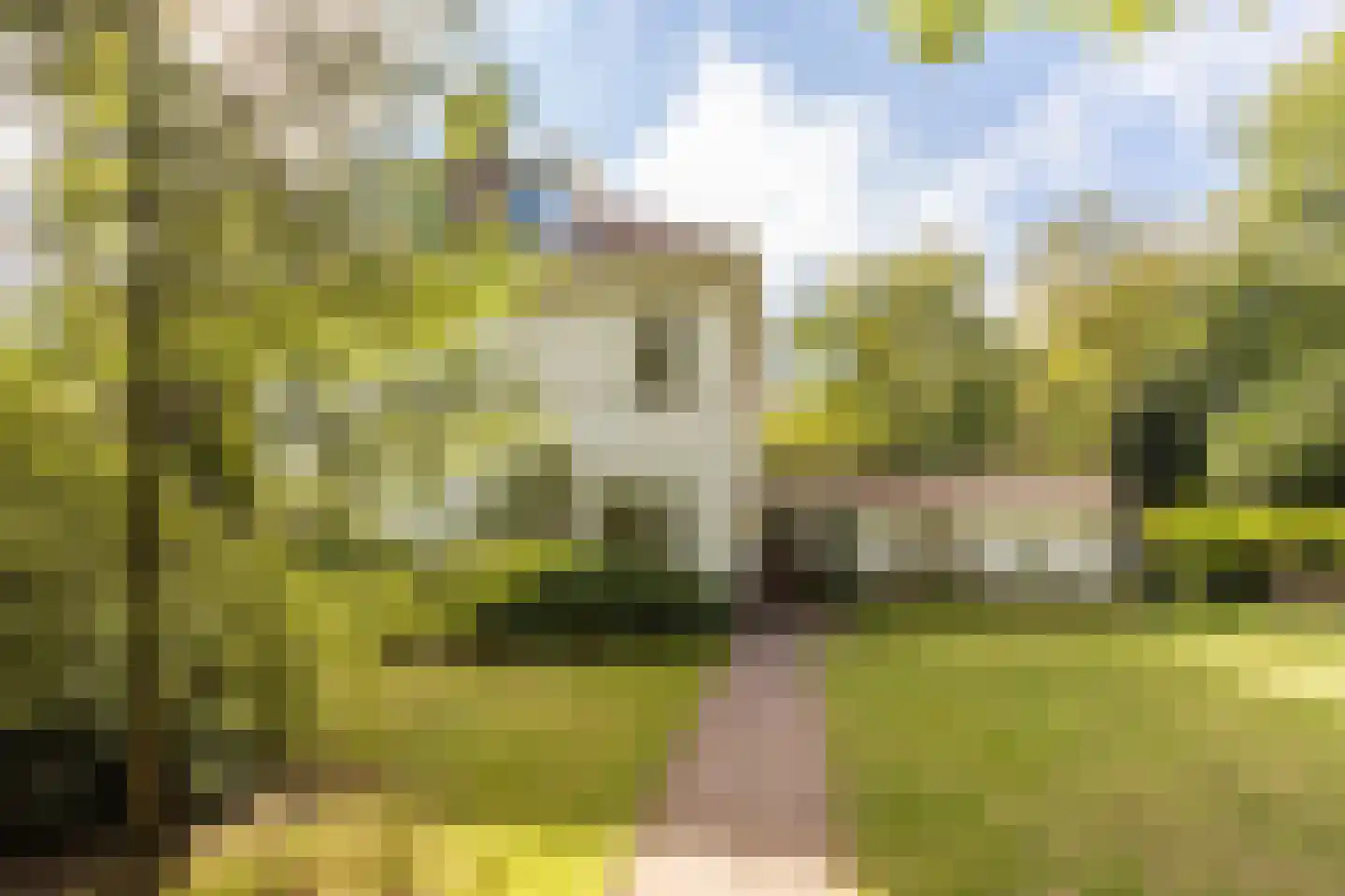 Curaçaolaan 20 Hilversum thumbnail 34