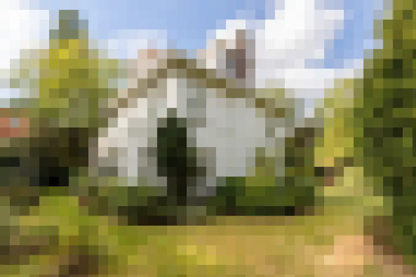 Curaçaolaan 20 Hilversum thumbnail 36