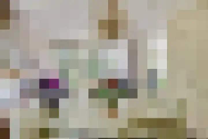 Curaçaolaan 26 Hilversum thumbnail 10