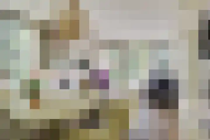 Curaçaolaan 26 Hilversum thumbnail 11