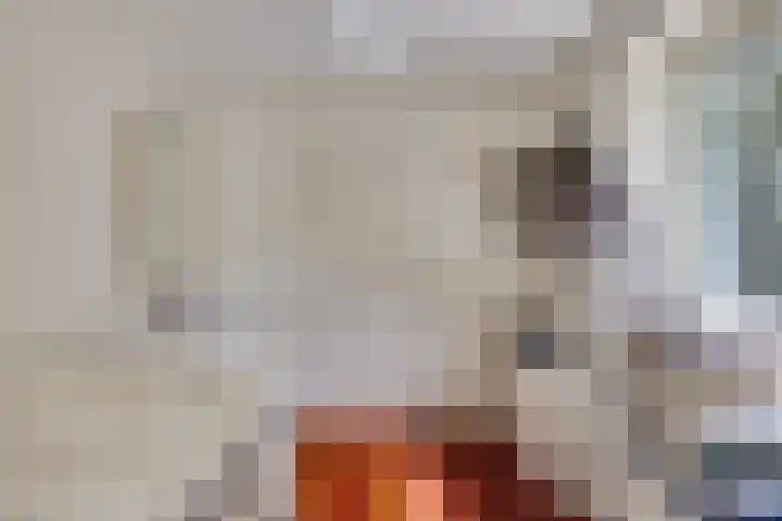 Curaçaolaan 26 Hilversum thumbnail 18