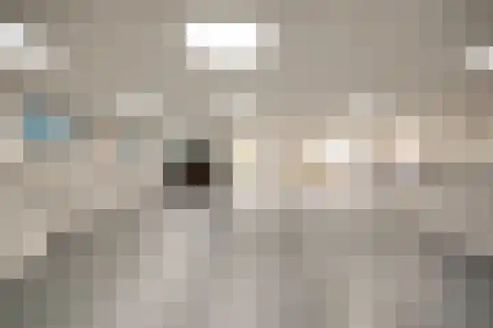 Curaçaolaan 26 Hilversum thumbnail 21
