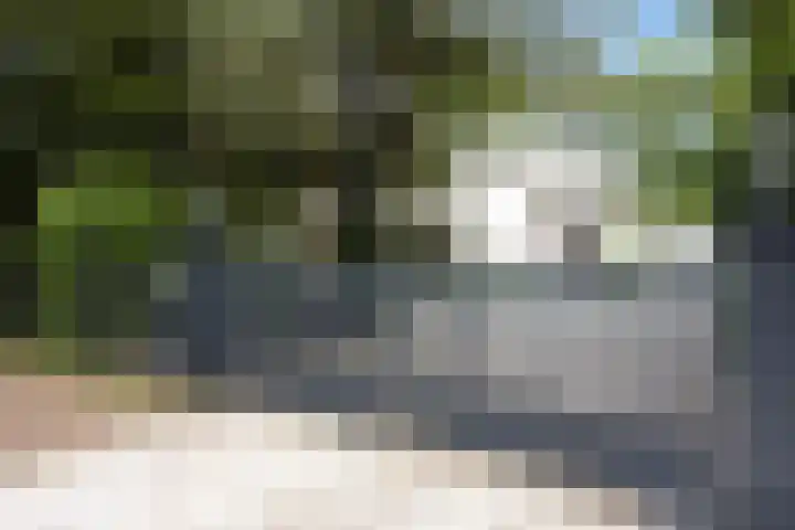 Curaçaolaan 26 Hilversum thumbnail 24