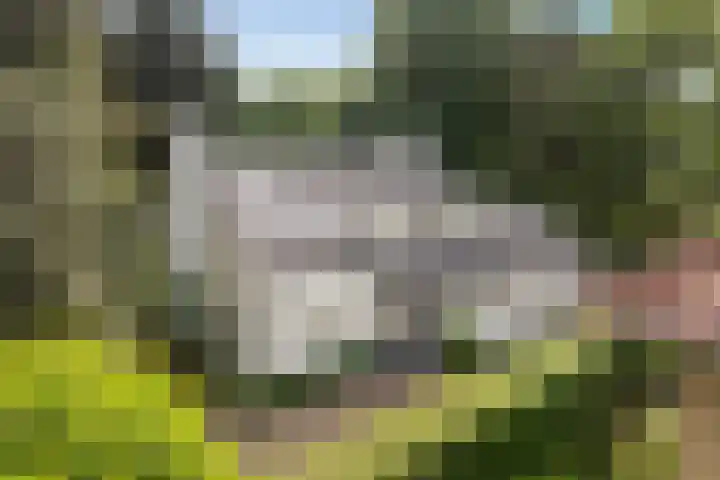 Curaçaolaan 26 Hilversum thumbnail 27