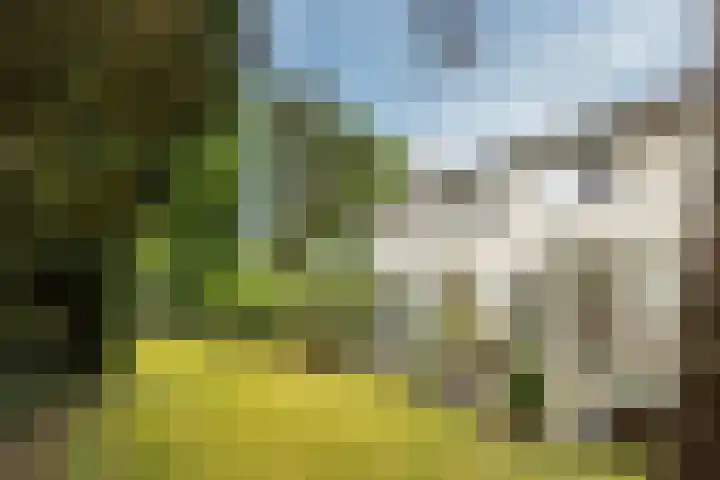 Curaçaolaan 26 Hilversum thumbnail 28