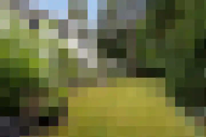 Curaçaolaan 26 Hilversum thumbnail 29