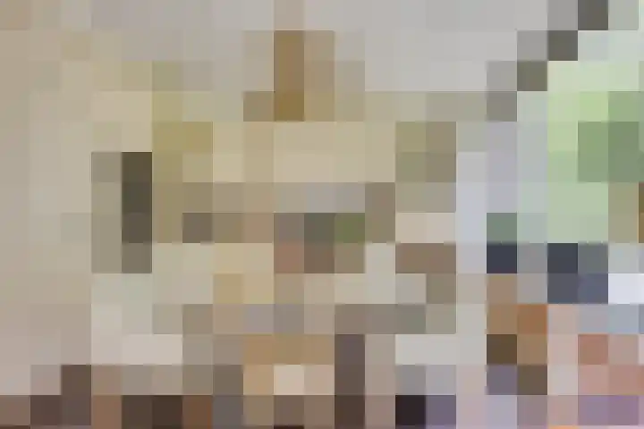 Curaçaolaan 26 Hilversum thumbnail 9