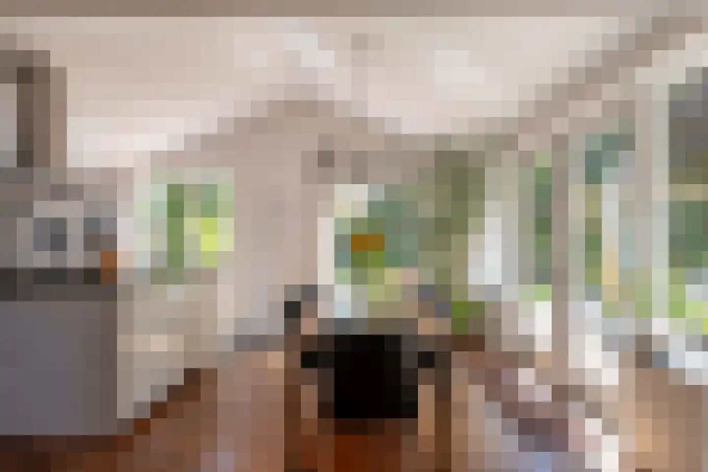 Curaçaolaan 27 Hilversum thumbnail 15