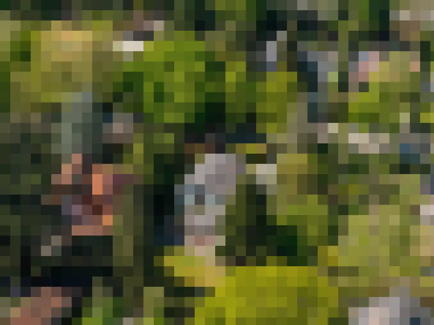 Curaçaolaan 27 Hilversum thumbnail 28