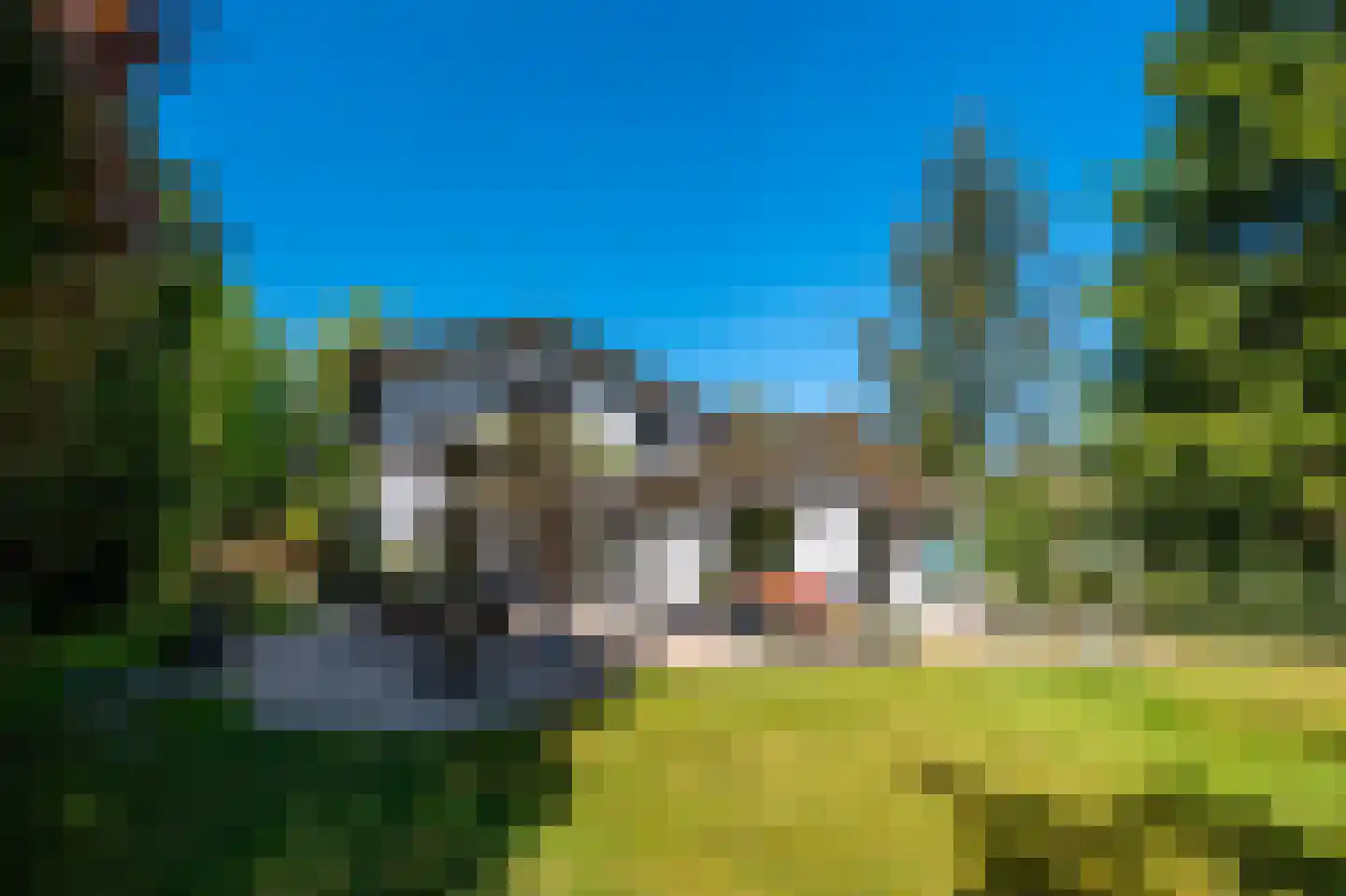 Curaçaolaan 27 Hilversum thumbnail 9