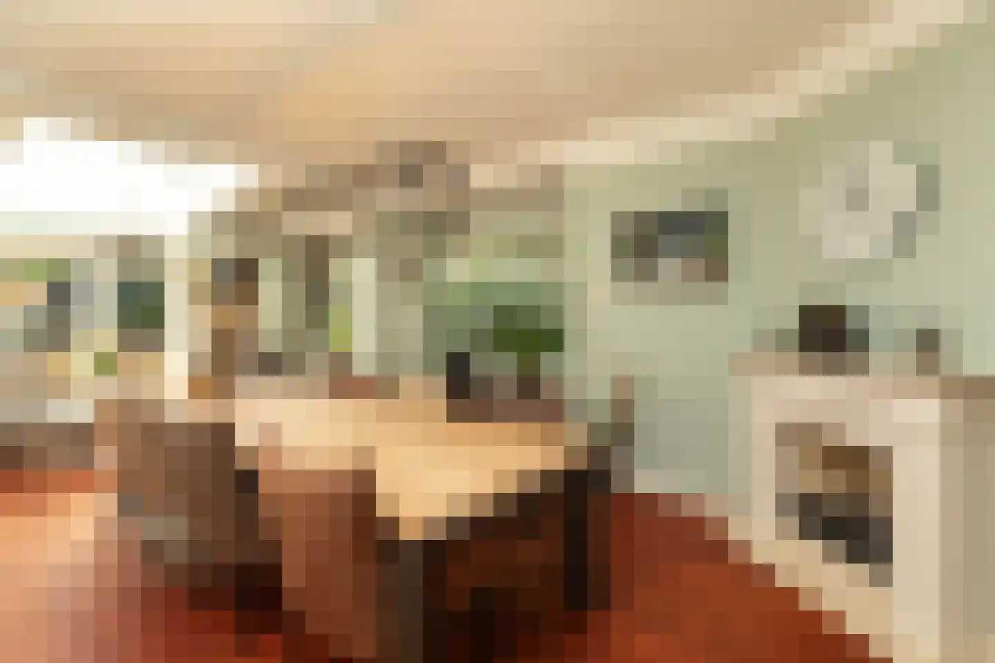Curaçaolaan 3 Hilversum thumbnail 12