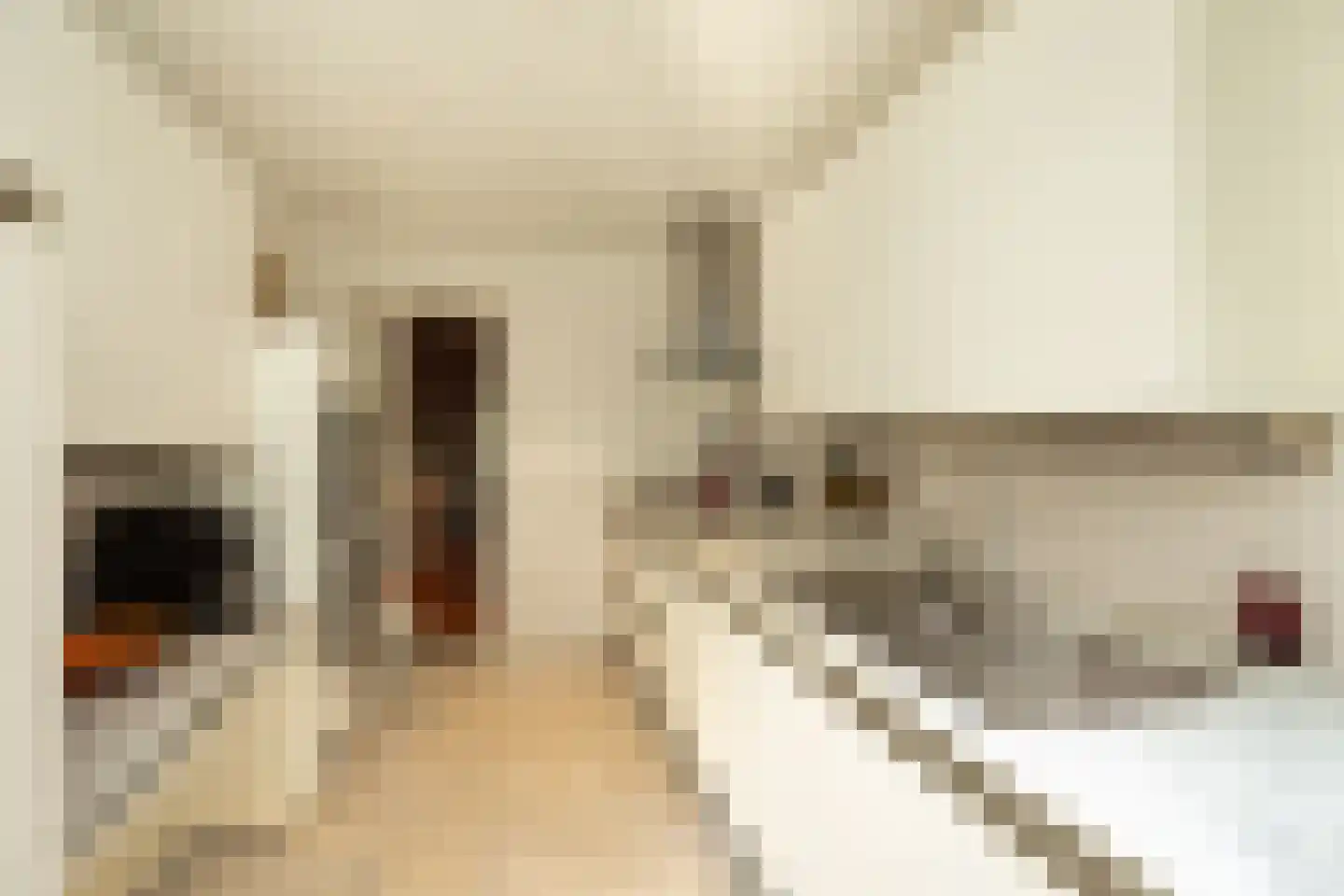 Curaçaolaan 3 Hilversum thumbnail 17