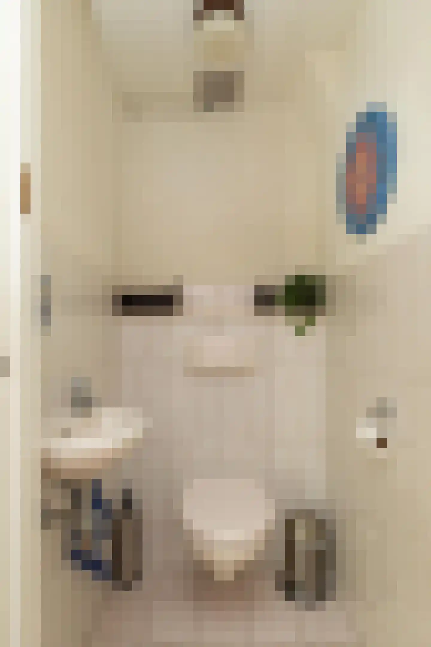 Curaçaolaan 3 Hilversum thumbnail 18