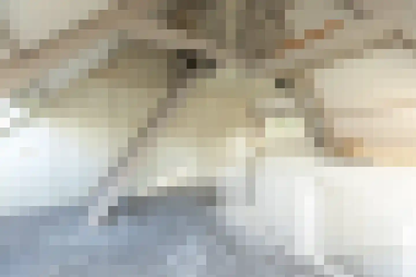 Curaçaolaan 3 Hilversum thumbnail 31