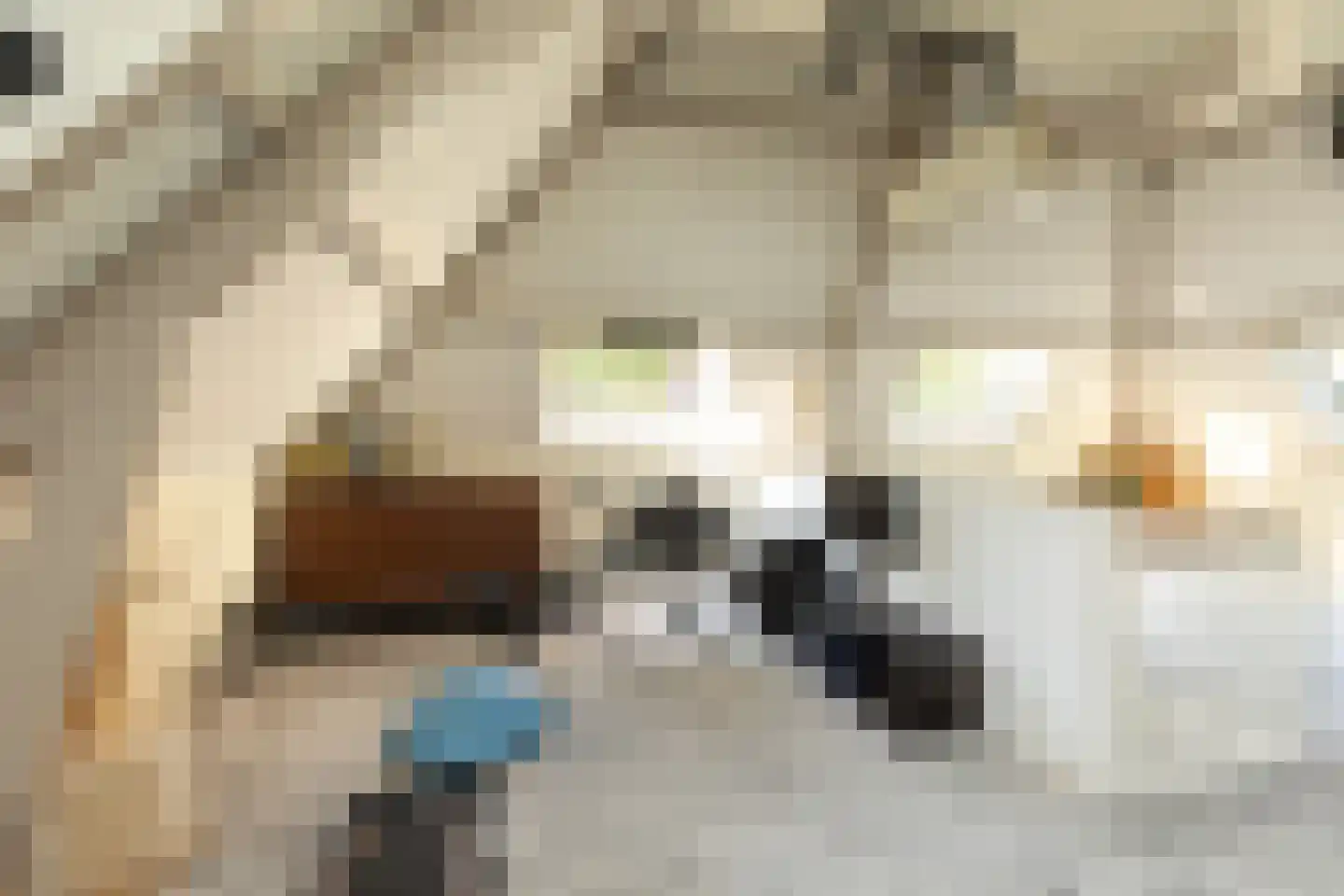 Curaçaolaan 3 Hilversum thumbnail 32