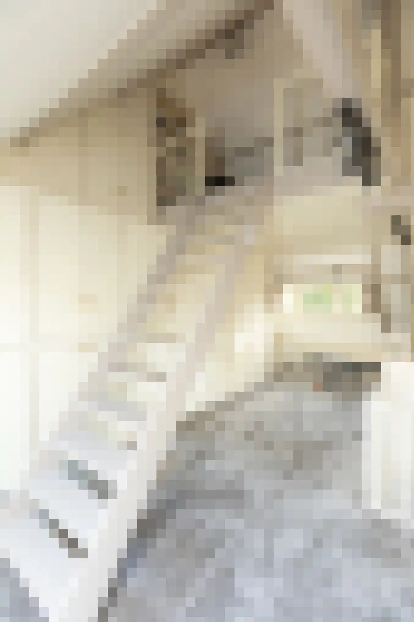 Curaçaolaan 3 Hilversum thumbnail 33