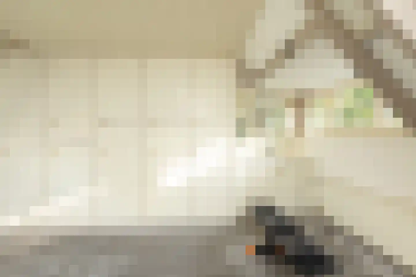 Curaçaolaan 3 Hilversum thumbnail 34