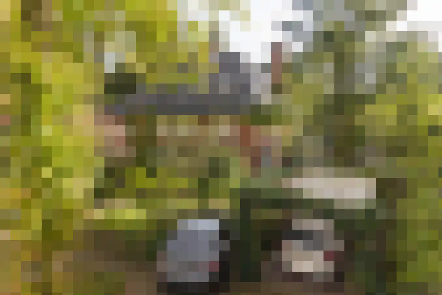 Curaçaolaan 3 Hilversum thumbnail 4
