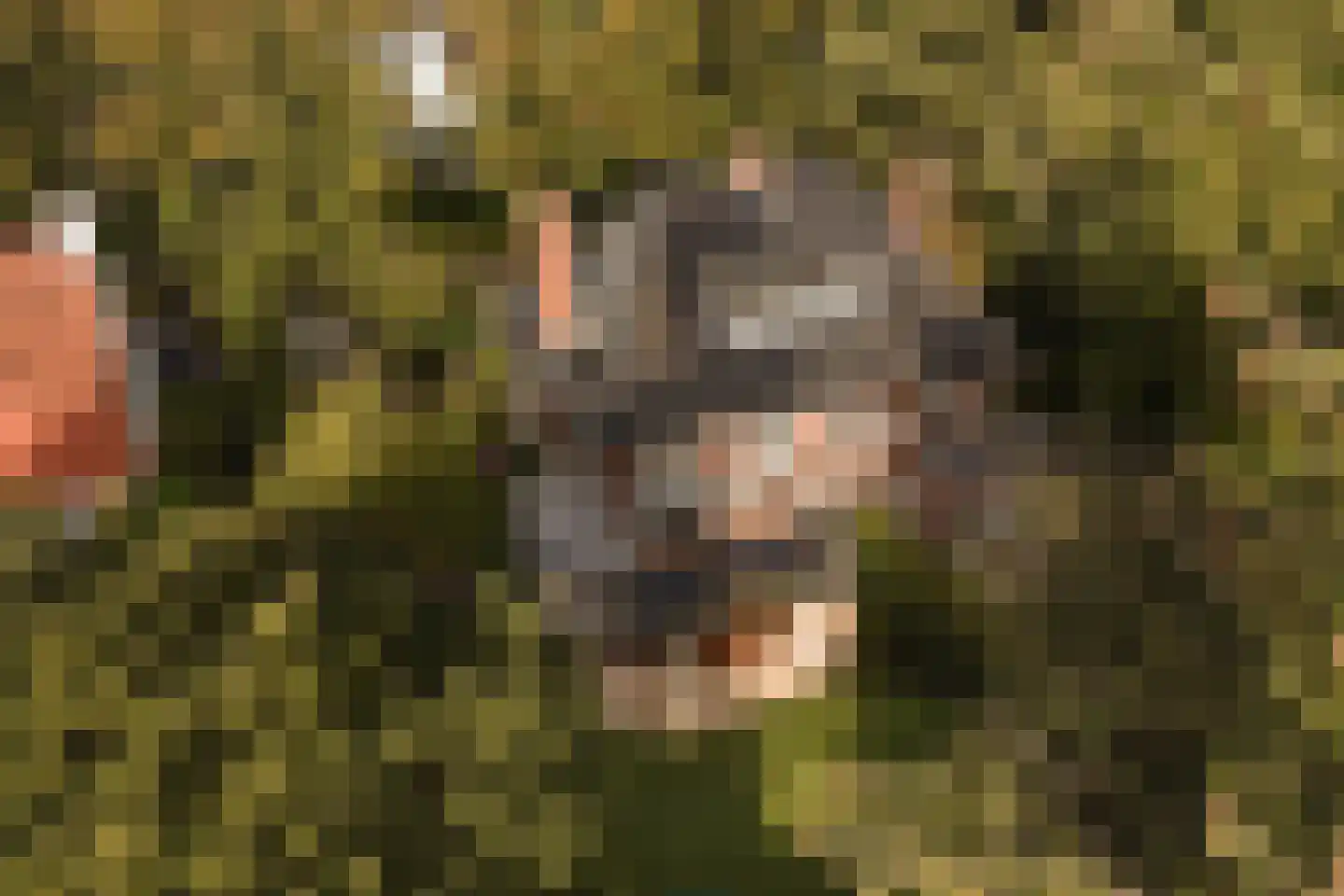 Curaçaolaan 3 Hilversum thumbnail 40