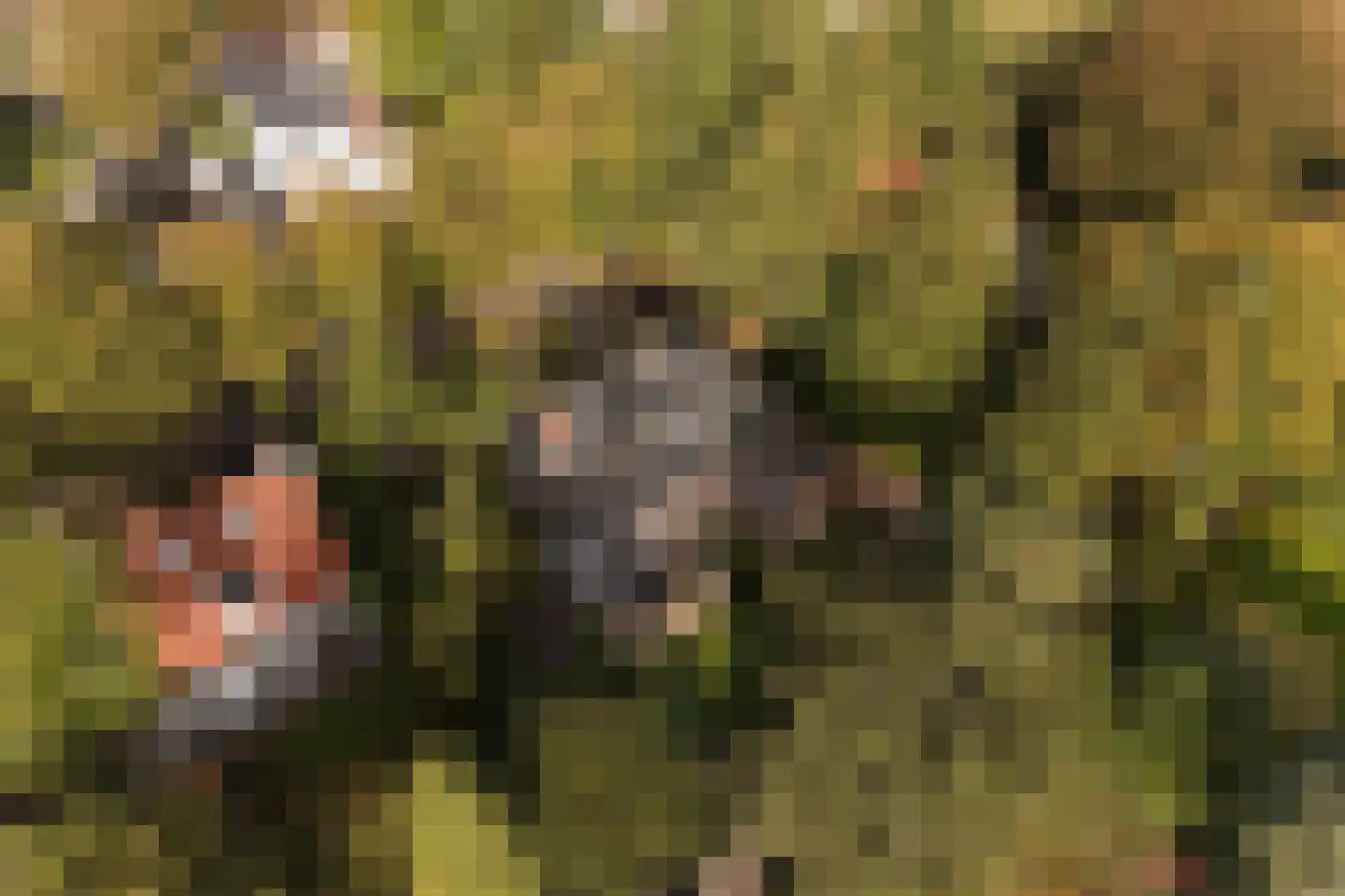 Curaçaolaan 3 Hilversum thumbnail 41
