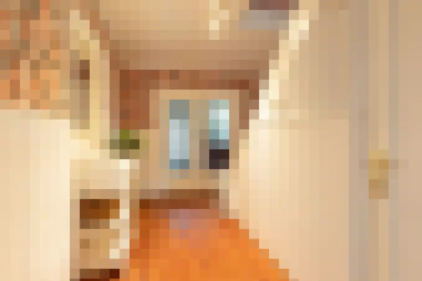 Curaçaolaan 3 Hilversum thumbnail 7