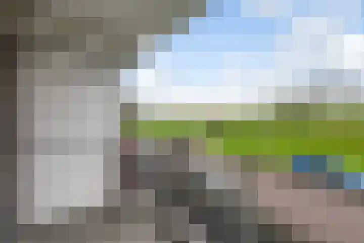 Curaçaolaan 36 Vlaardingen thumbnail 17