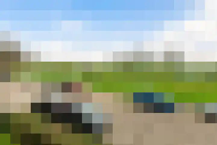 Curaçaolaan 36 Vlaardingen thumbnail 18