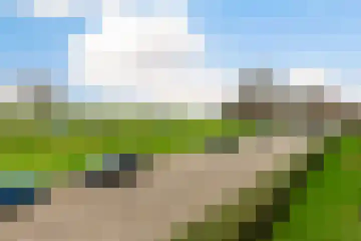 Curaçaolaan 36 Vlaardingen thumbnail 19