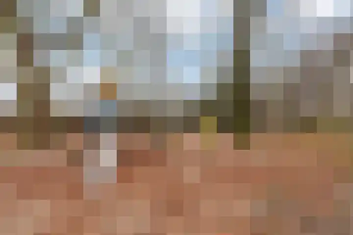 Curaçaolaan 36 Vlaardingen thumbnail 33