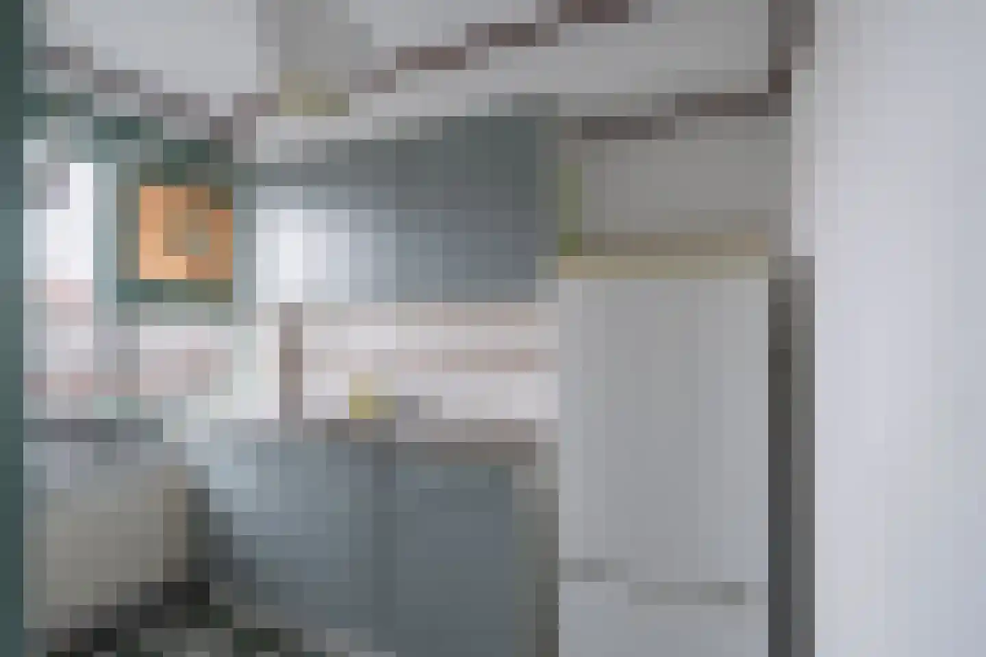 Curaçaolaan 56 Vlaardingen thumbnail 13