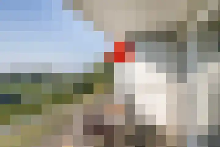 Curaçaolaan 66 Vlaardingen thumbnail 14