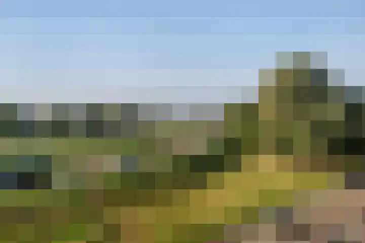 Curaçaolaan 66 Vlaardingen thumbnail 16