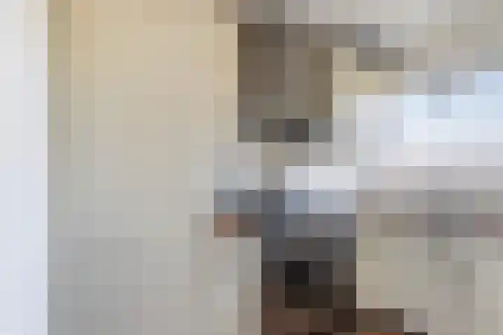 Curaçaolaan 66 Vlaardingen thumbnail 17