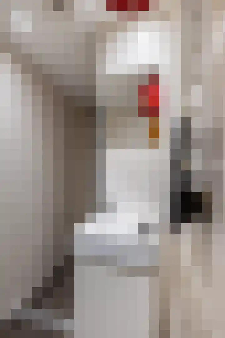 Curaçaolaan 66 Vlaardingen thumbnail 22
