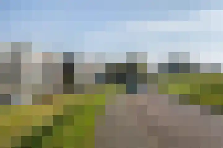 Curaçaolaan 66 Vlaardingen thumbnail 25