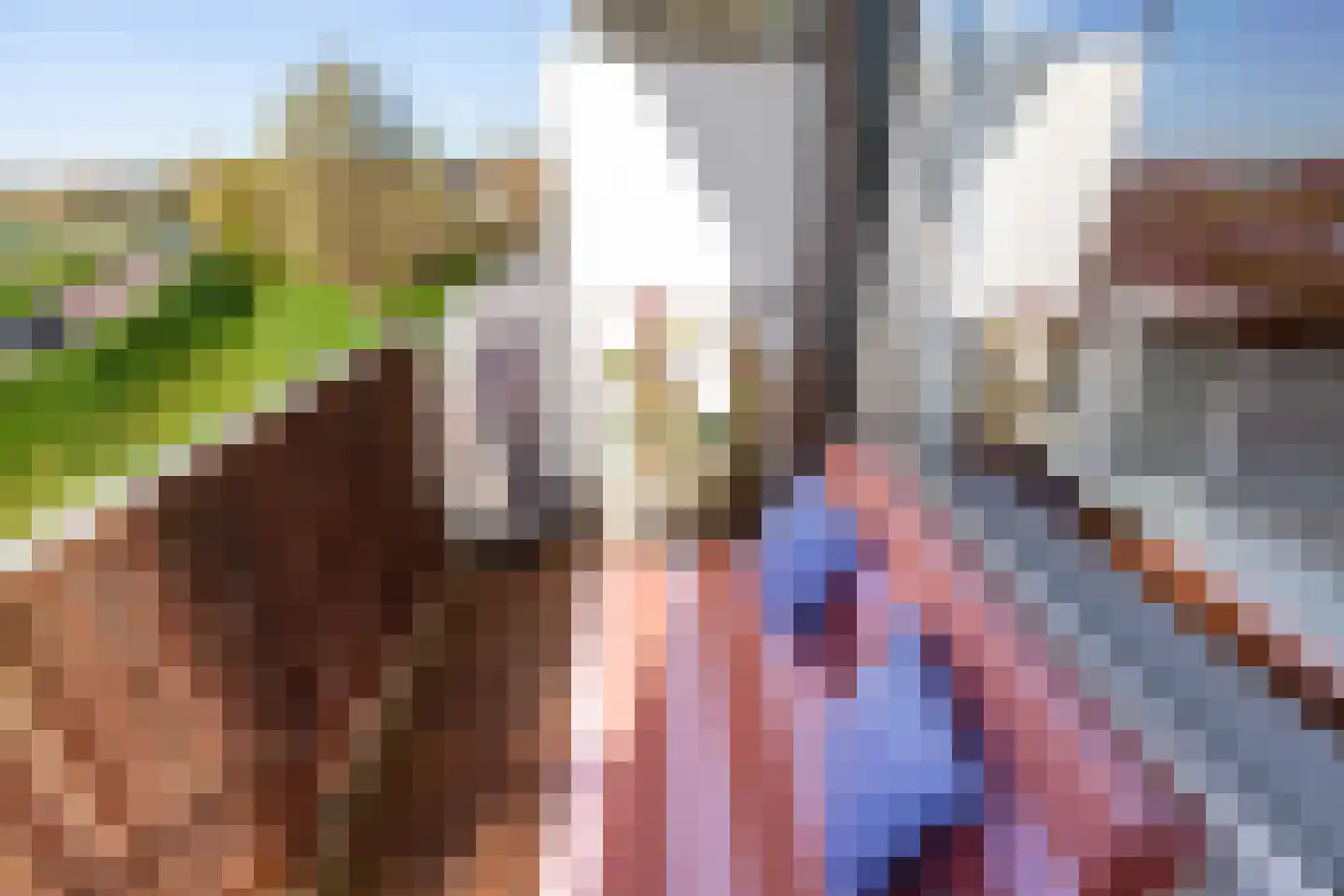 Curaçaolaan 82 Vlaardingen thumbnail 20