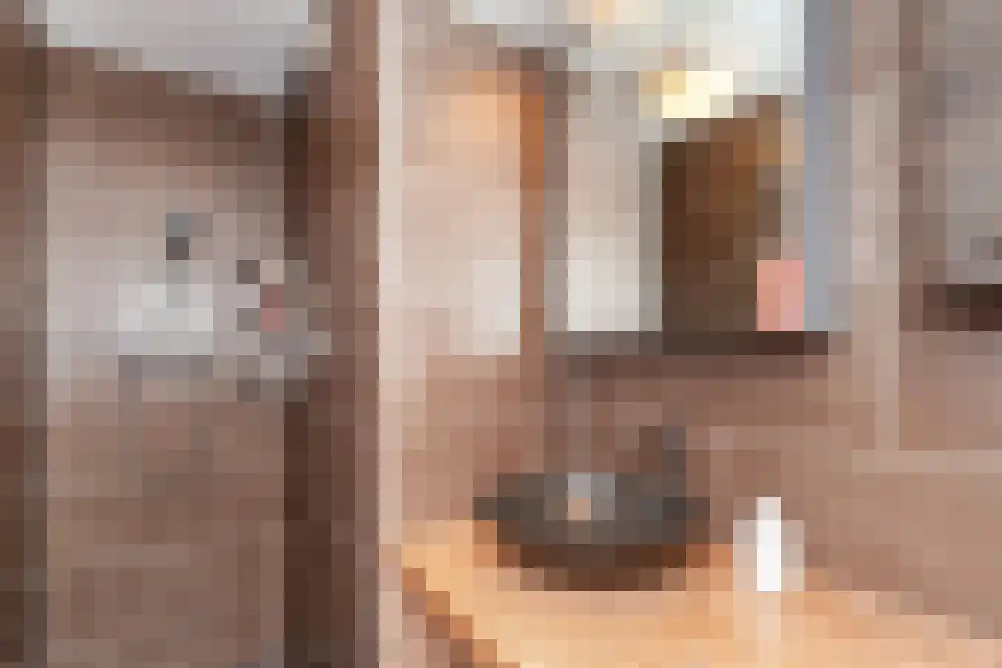 Curaçaolaan 82 Vlaardingen thumbnail 34