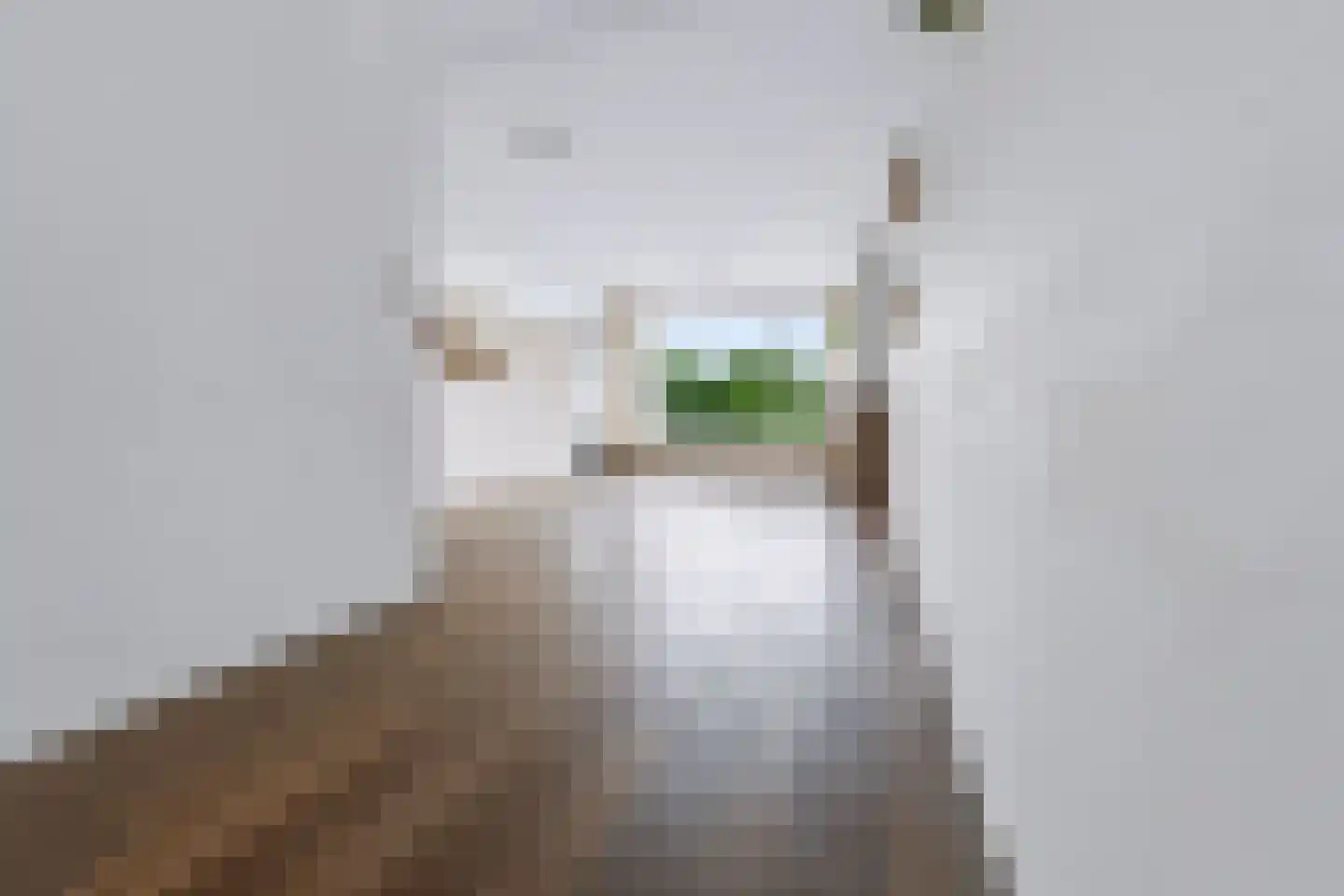 Curaçaolaan 88 Vlaardingen thumbnail 15