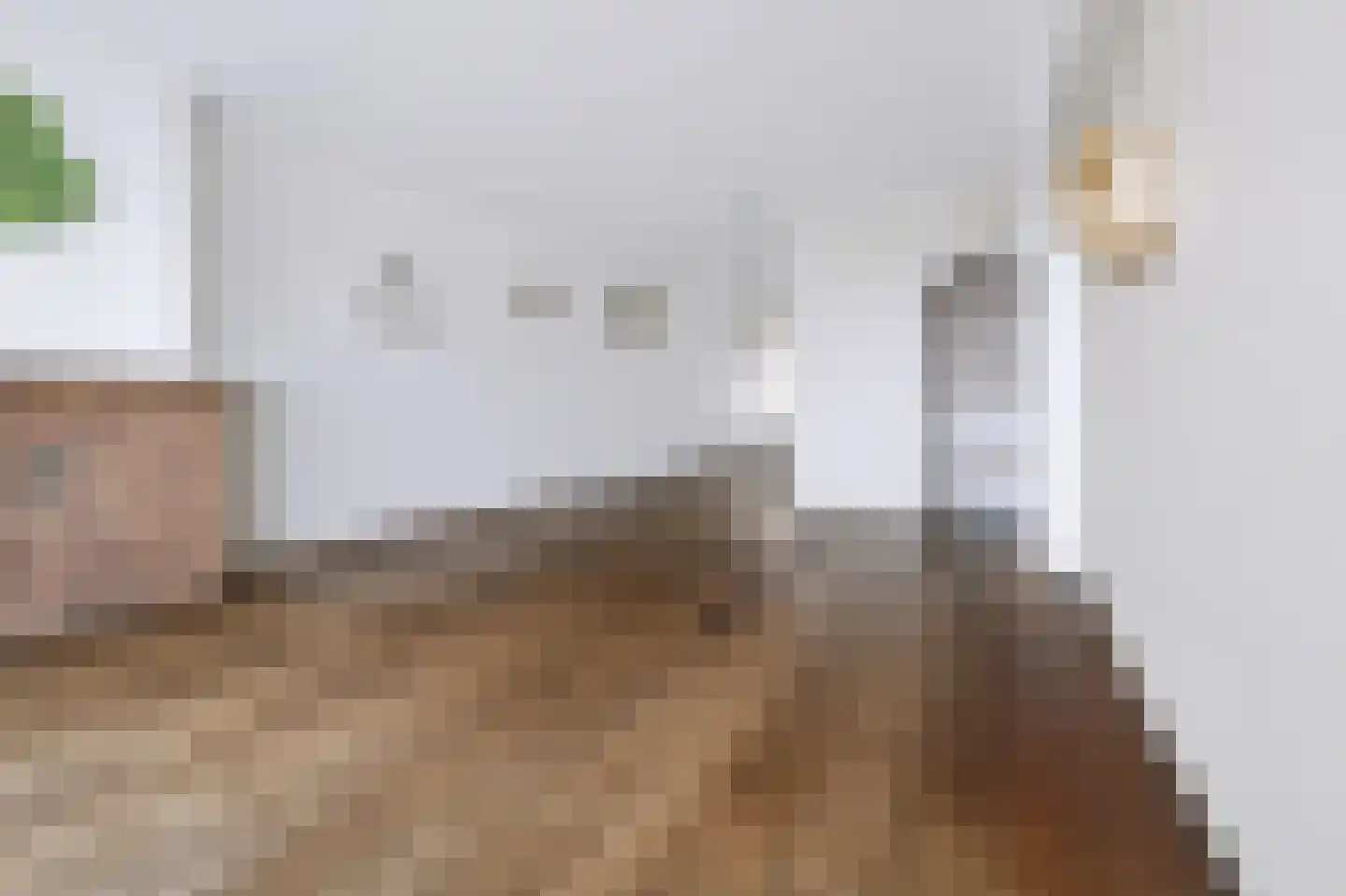 Curaçaolaan 88 Vlaardingen thumbnail 17