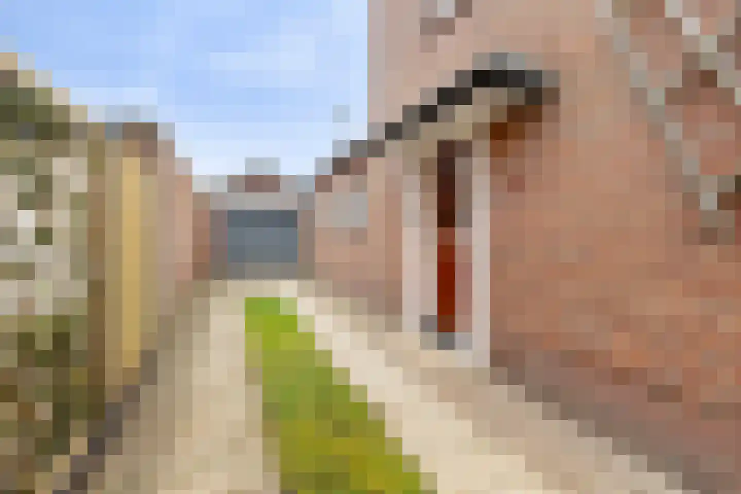 Curaçaostraat 10 Winterswijk thumbnail 7