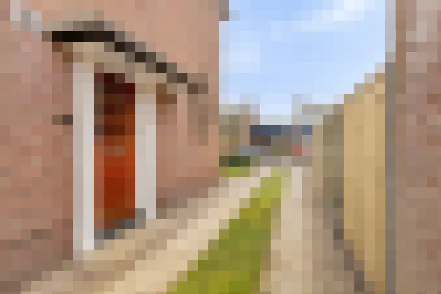 Curaçaostraat 10 Winterswijk thumbnail 8