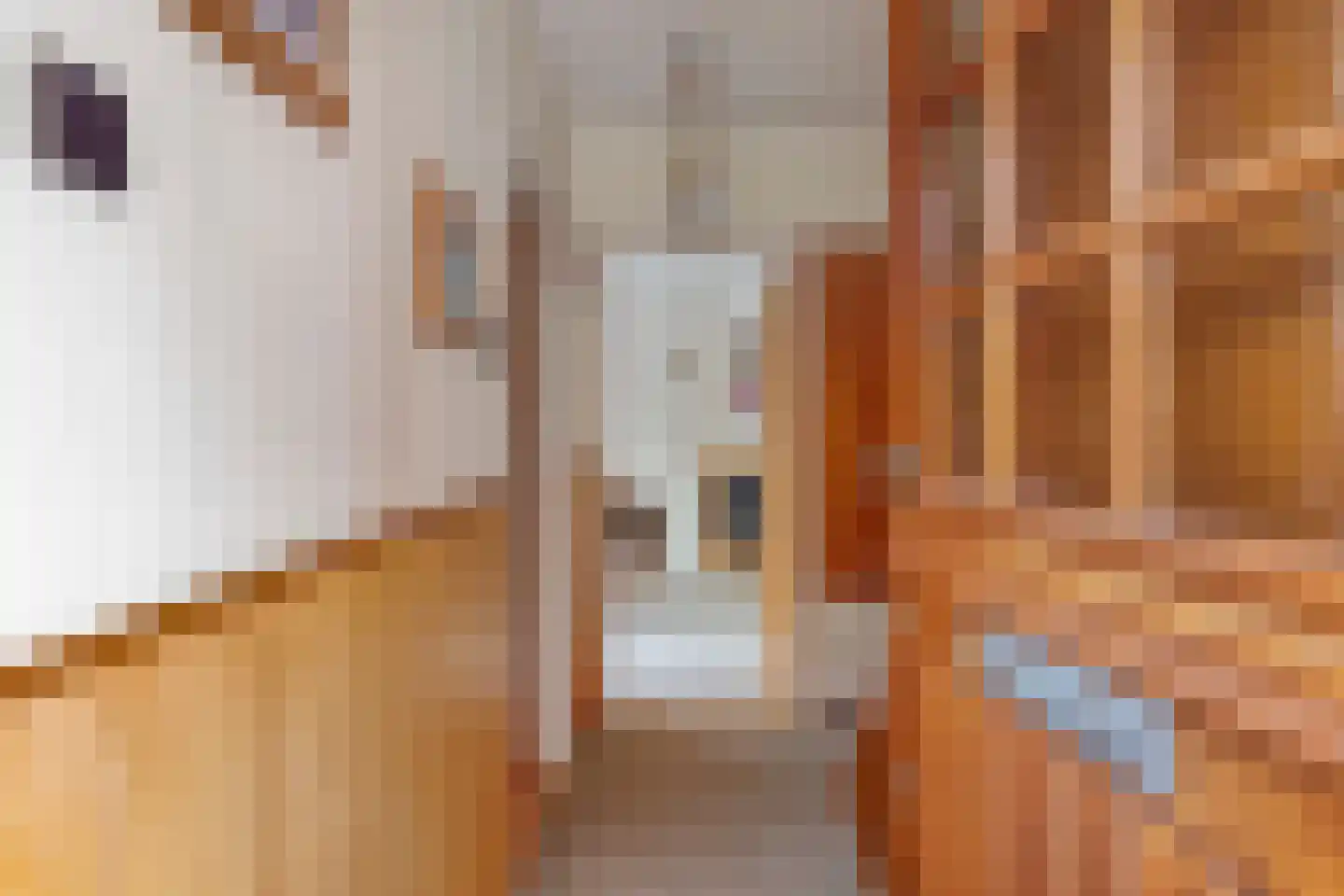 Curaçaostraat 10 Winterswijk thumbnail 9
