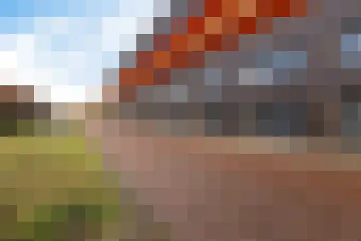 Curaçaostraat 111 Groningen thumbnail 33