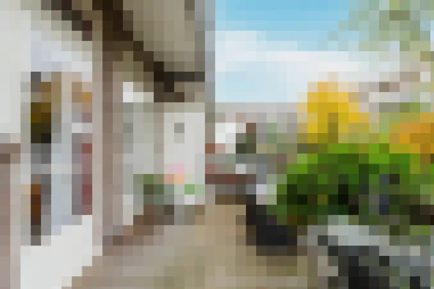 Curaçaostraat 117 3 Amsterdam thumbnail 22