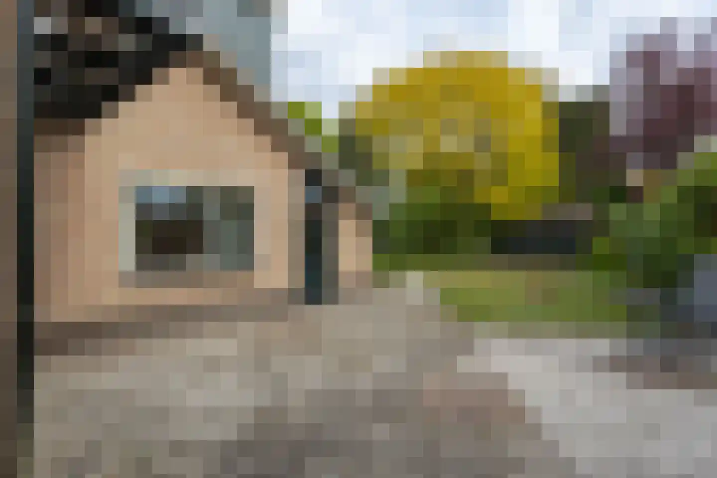 Curaçaostraat 16 Winterswijk thumbnail 35