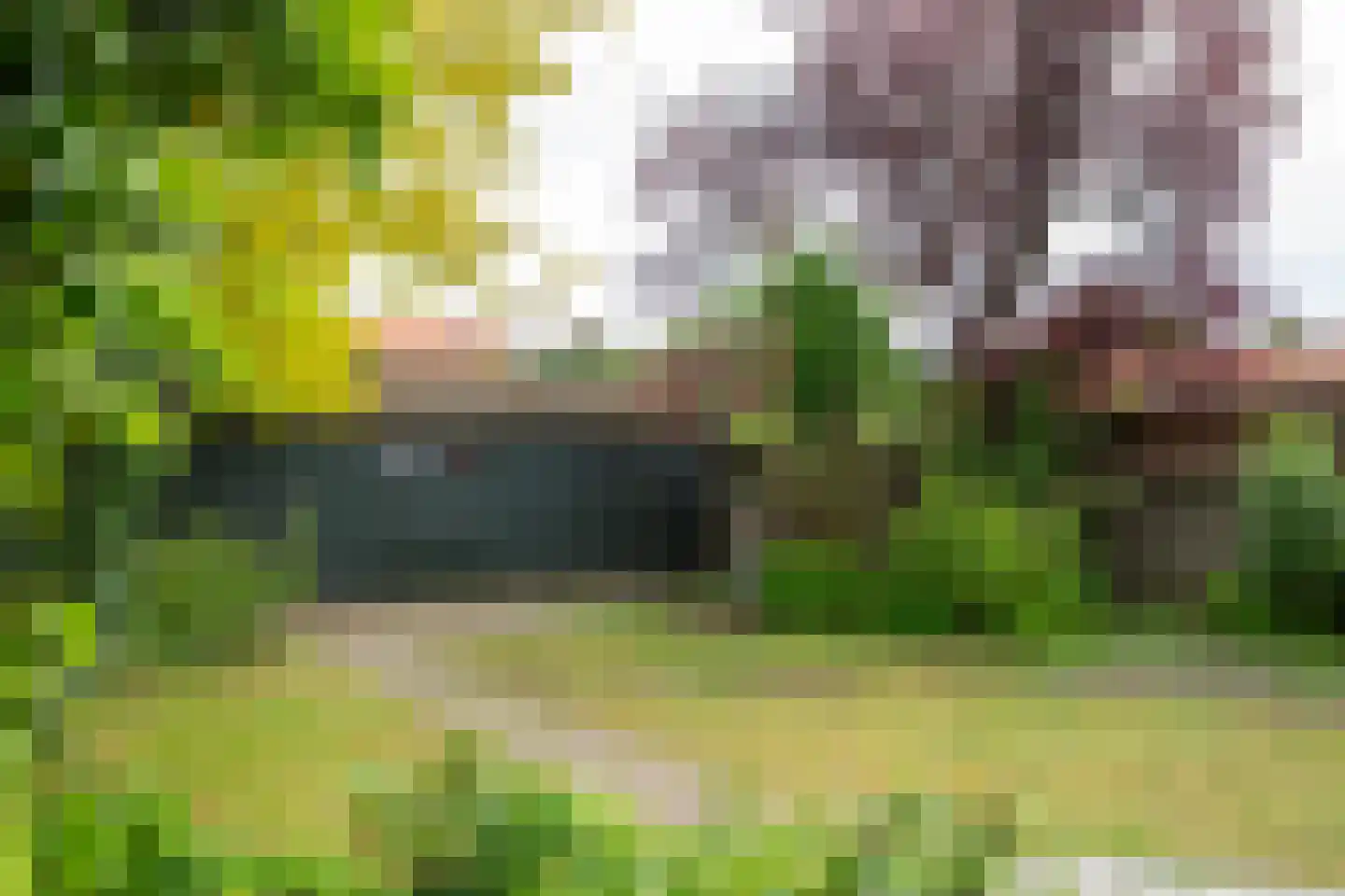 Curaçaostraat 16 Winterswijk thumbnail 38