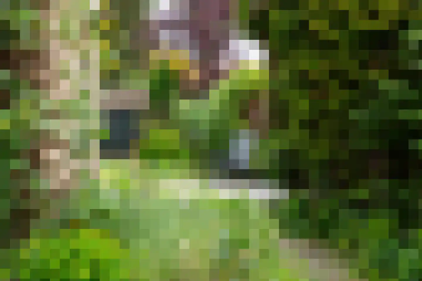 Curaçaostraat 16 Winterswijk thumbnail 39